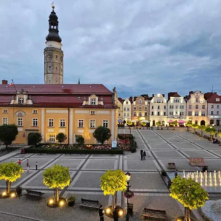 Fox Premium * Boleslawiec (Lower Silesia)